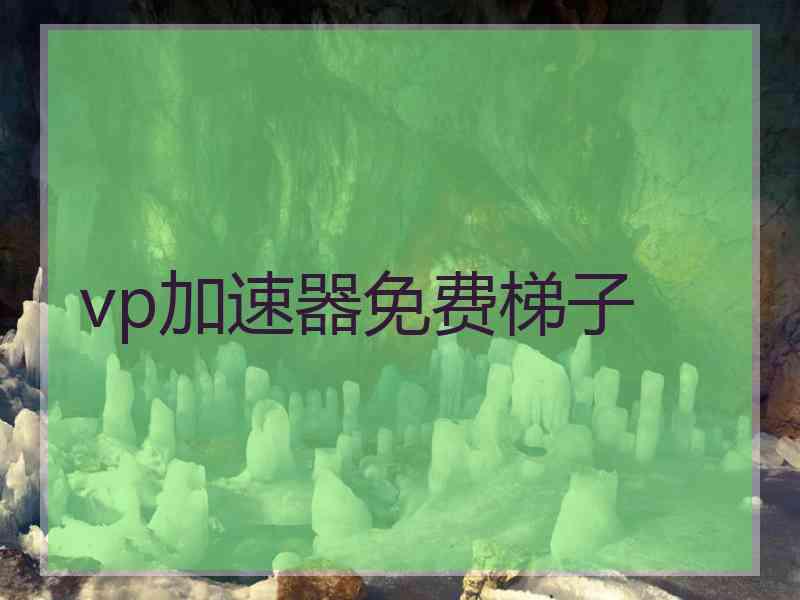 vp加速器免费梯子