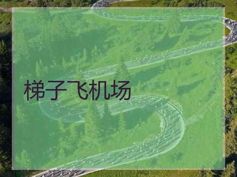 梯子飞机场