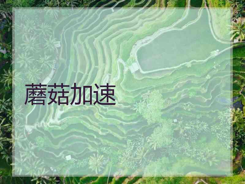蘑菇加速