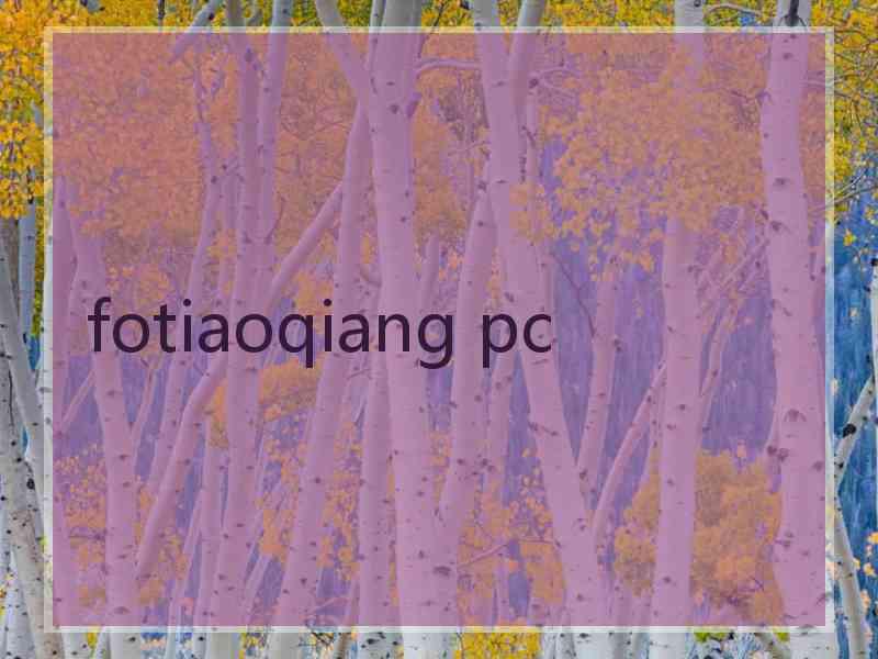 fotiaoqiang pc
