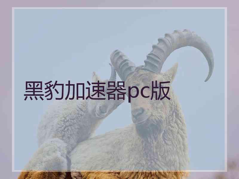 黑豹加速器pc版