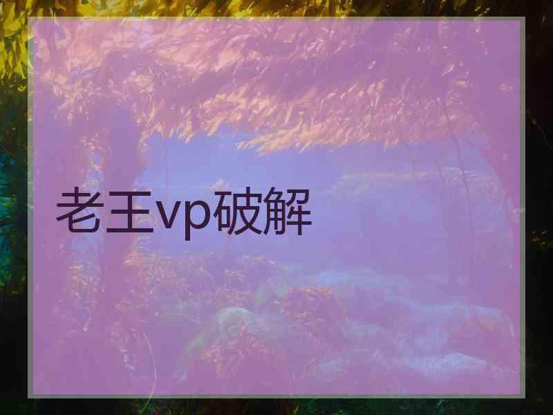 老王vp破解