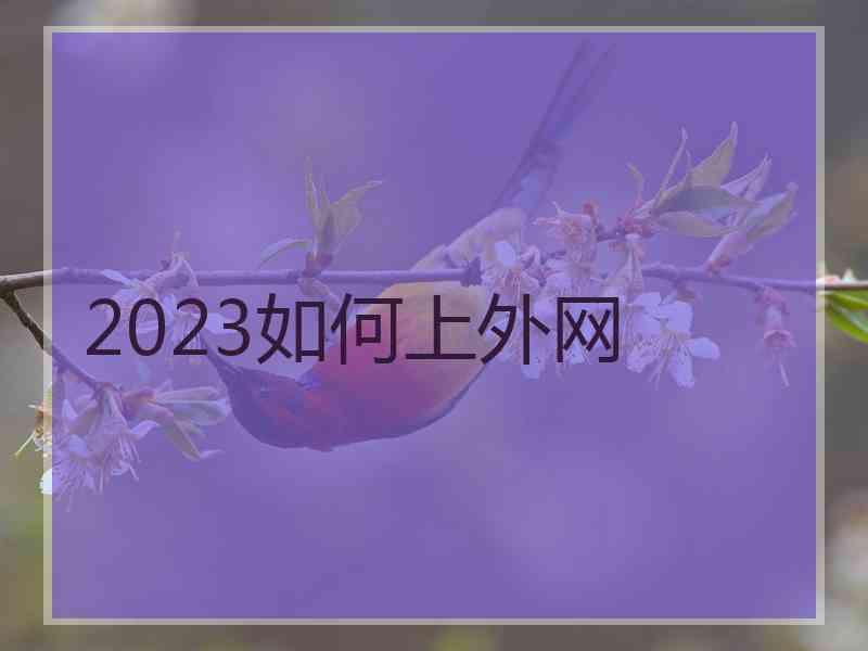 2023如何上外网