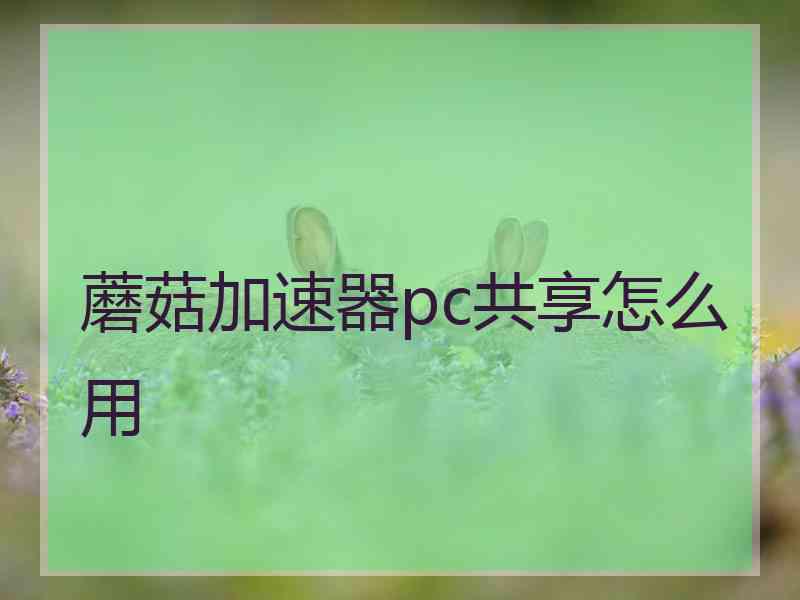 蘑菇加速器pc共享怎么用