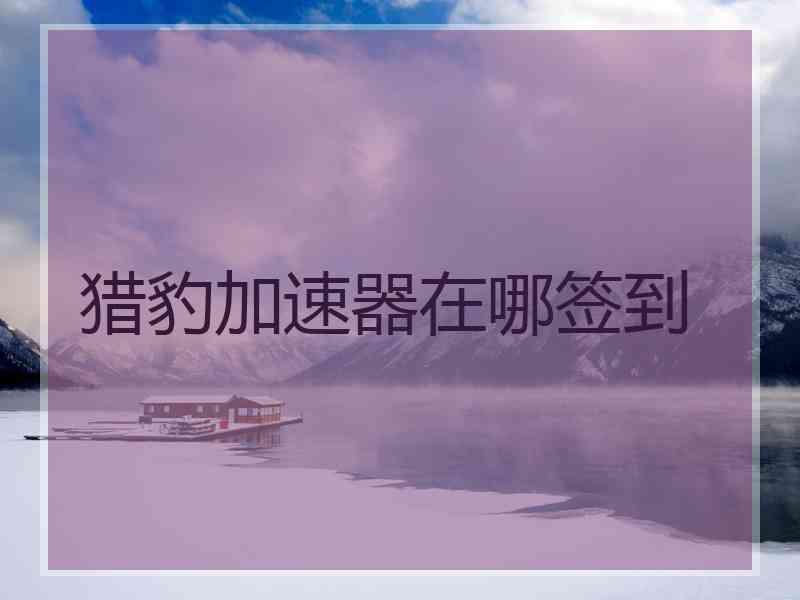 猎豹加速器在哪签到