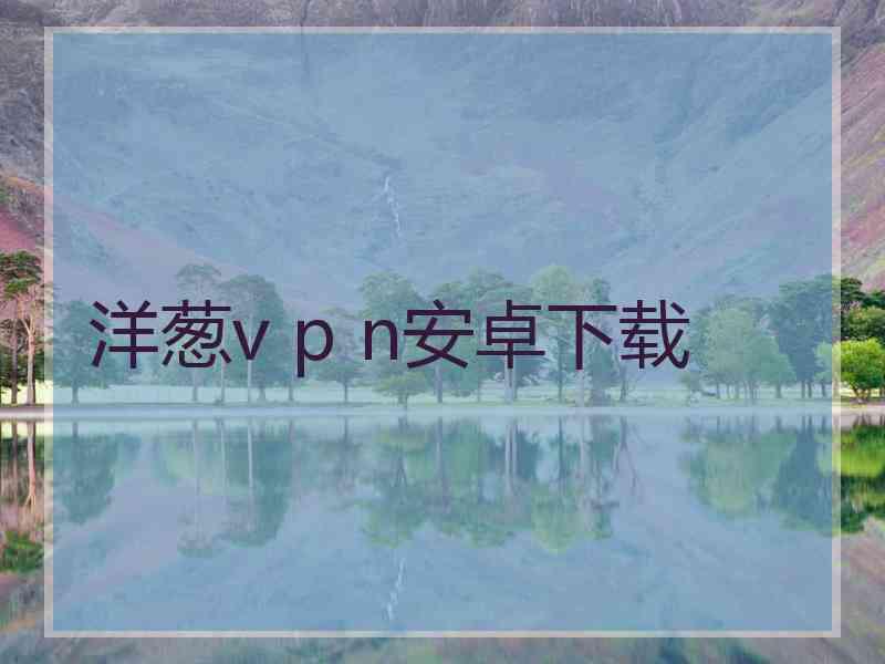 洋葱v p n安卓下载