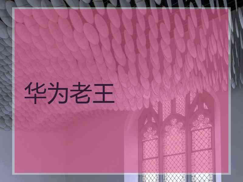 华为老王