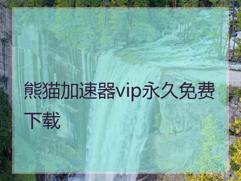 熊猫加速器vip永久免费下载
