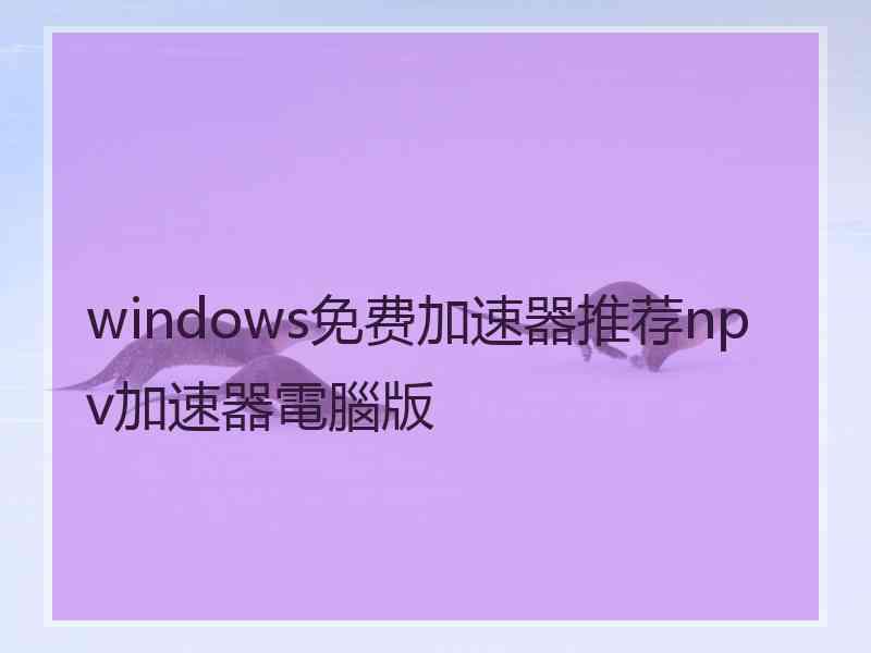 windows免费加速器推荐npv加速器電腦版