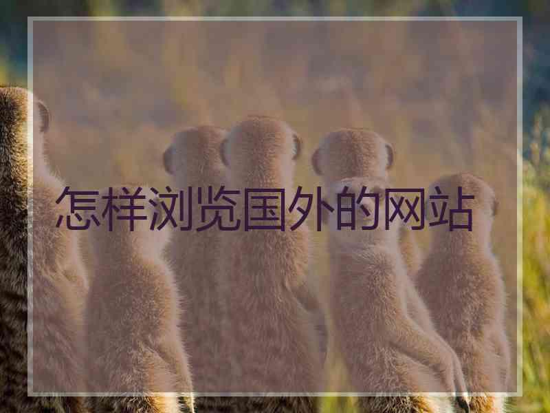 怎样浏览国外的网站