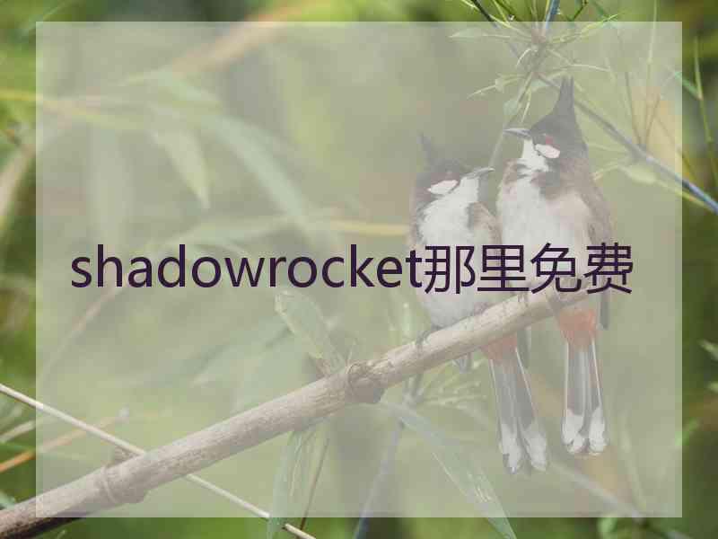 shadowrocket那里免费