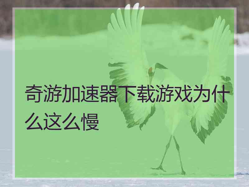 奇游加速器下载游戏为什么这么慢