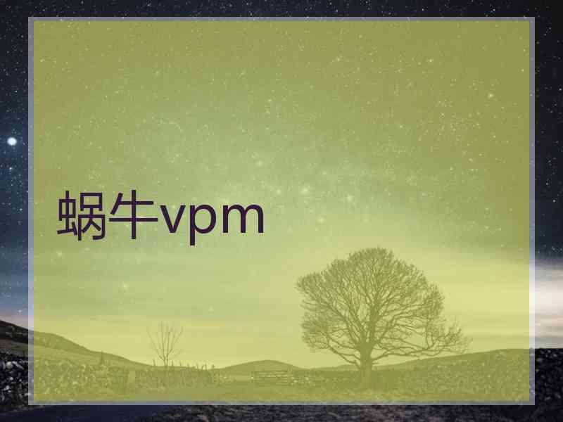 蜗牛vpm
