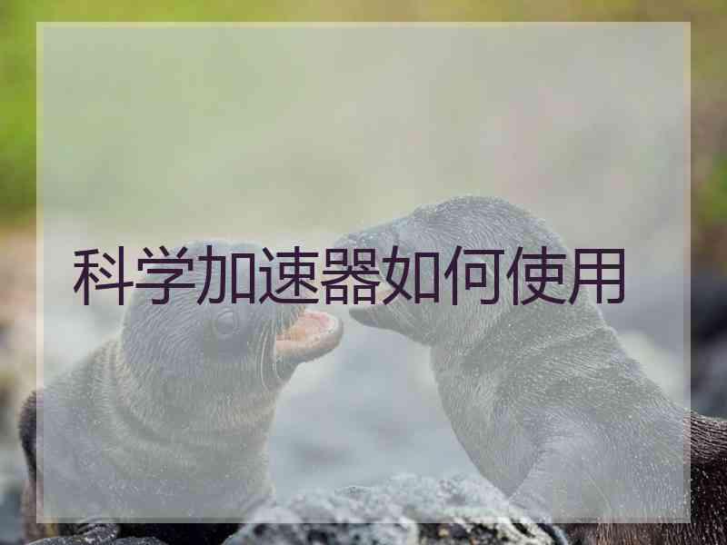 科学加速器如何使用