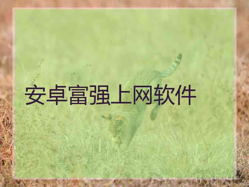 安卓富强上网软件