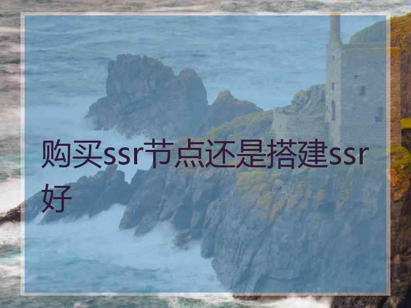 购买ssr节点还是搭建ssr好