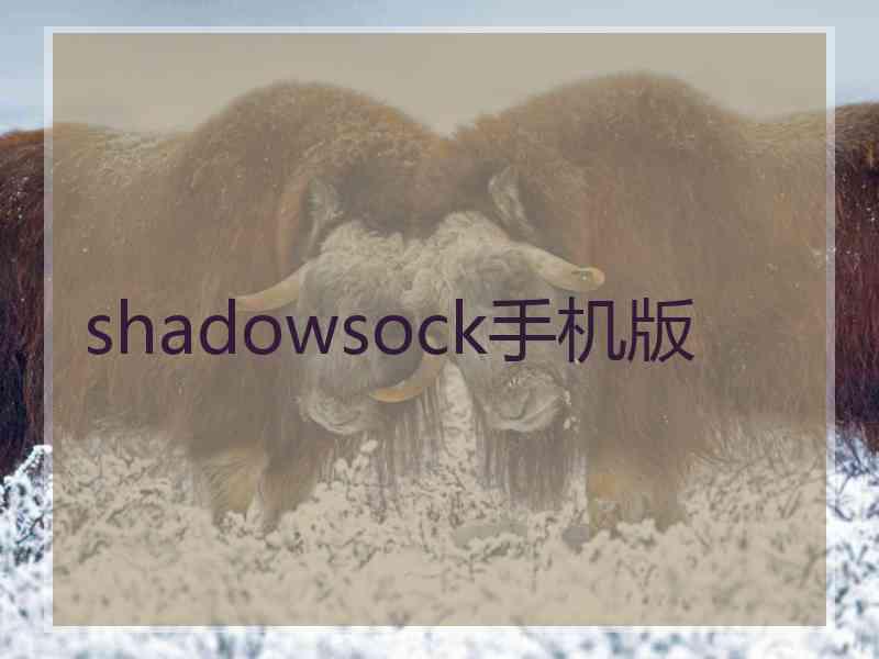 shadowsock手机版