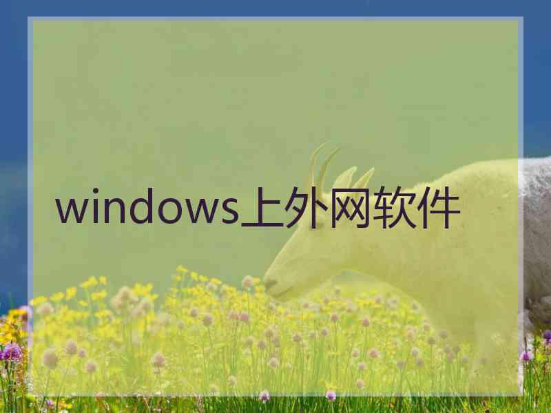 windows上外网软件