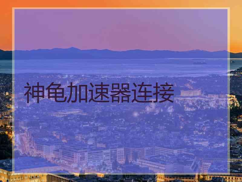 神龟加速器连接