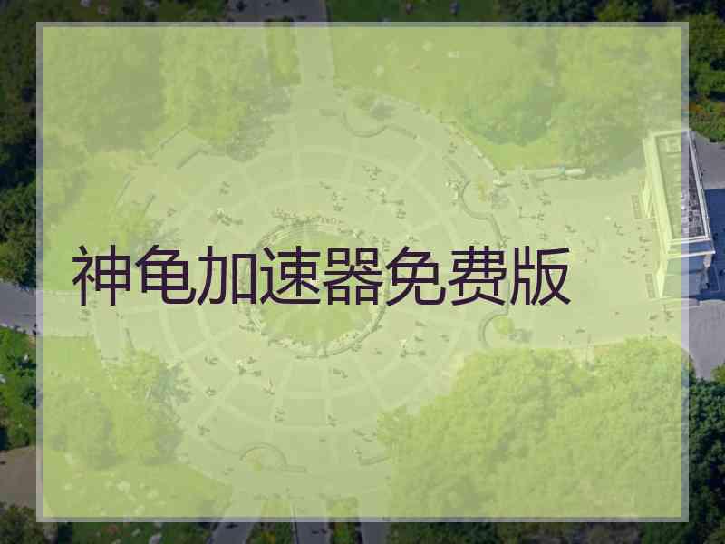 神龟加速器免费版