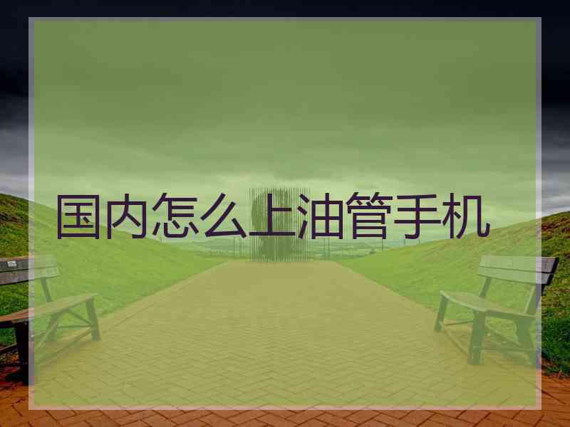 国内怎么上油管手机