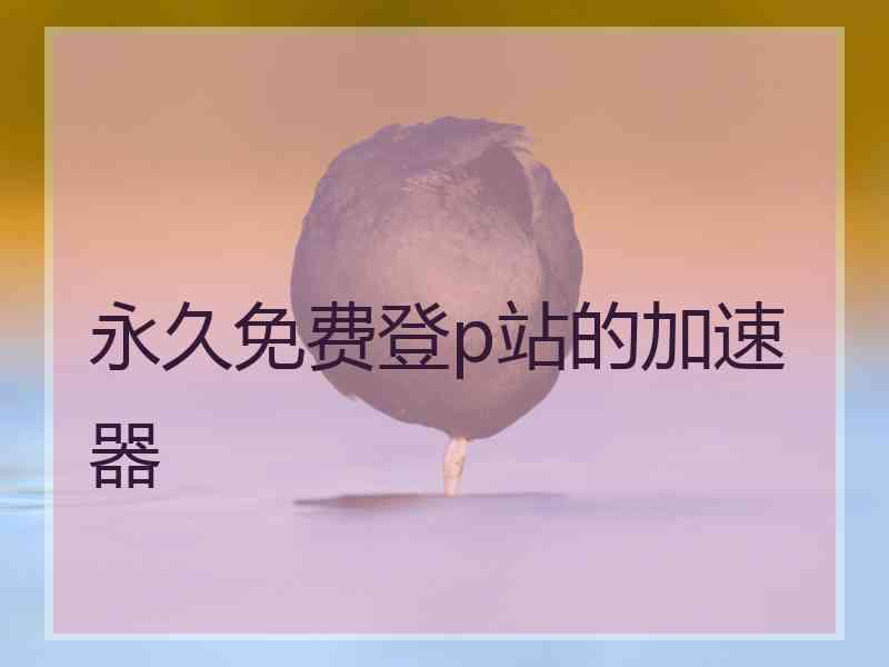永久免费登p站的加速器