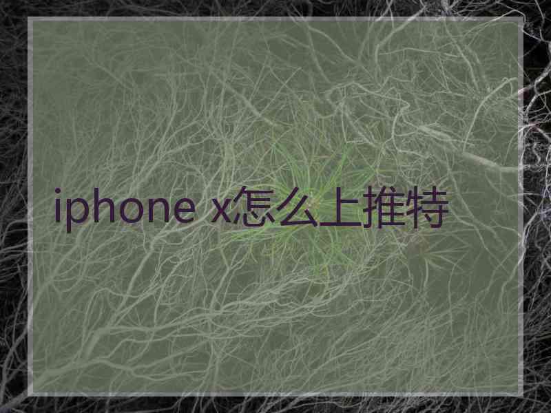iphone x怎么上推特
