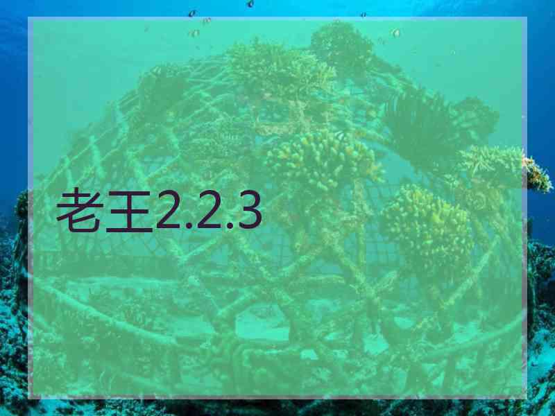 老王2.2.3