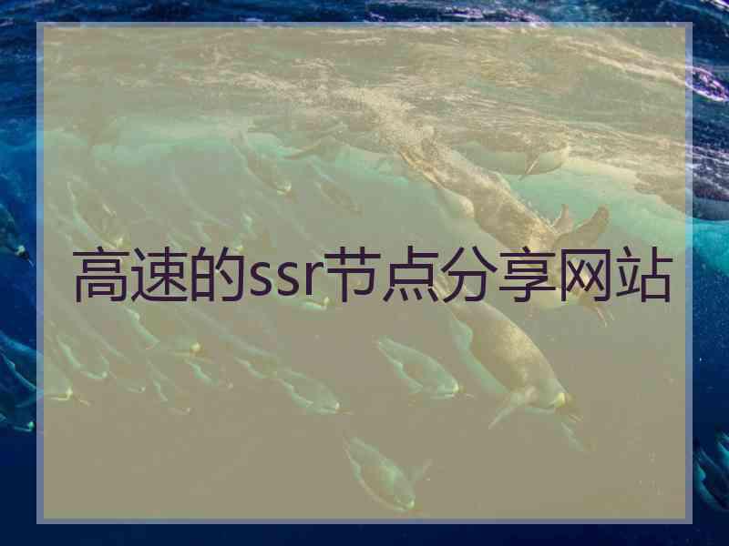 高速的ssr节点分享网站