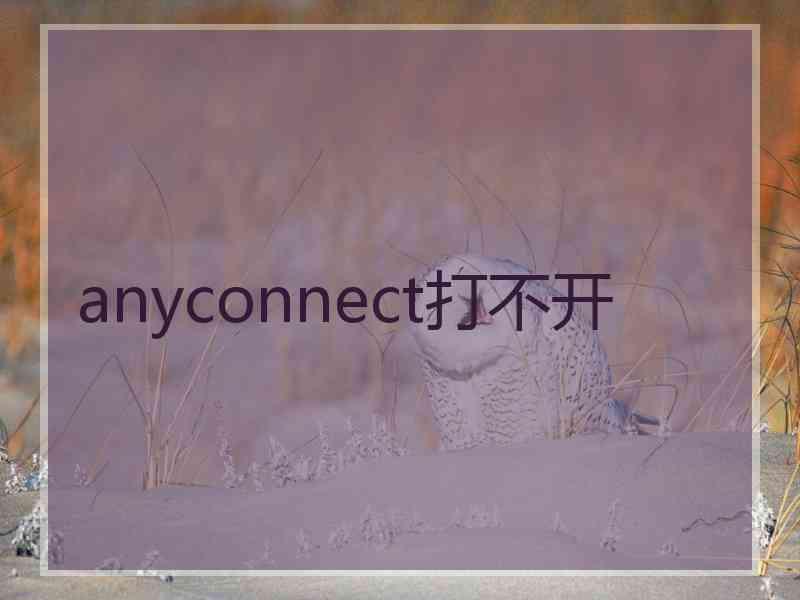 anyconnect打不开