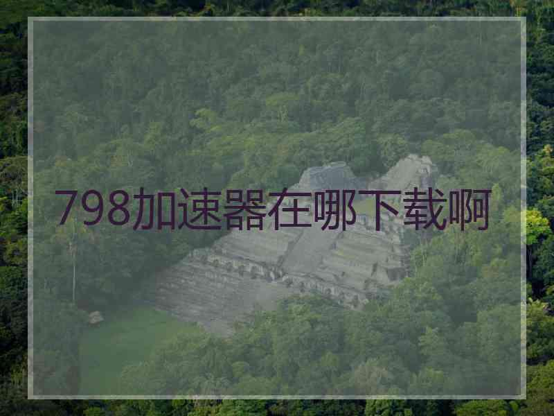 798加速器在哪下载啊