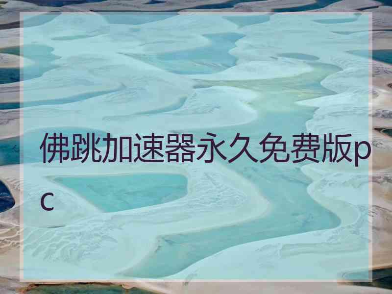 佛跳加速器永久免费版pc