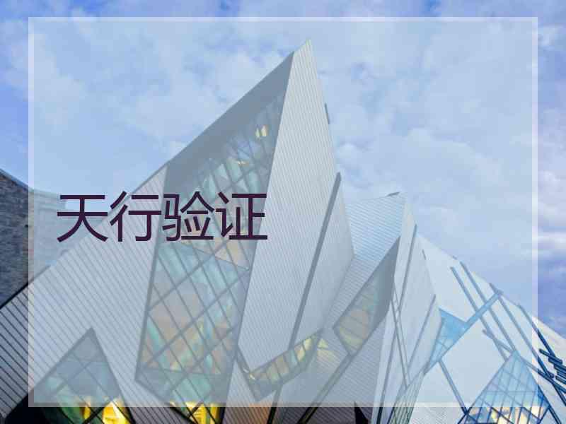 天行验证