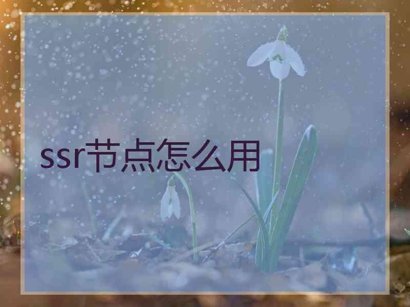 ssr节点怎么用
