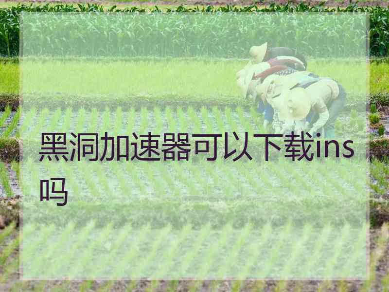 黑洞加速器可以下载ins吗