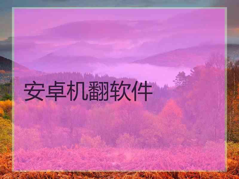 安卓机翻软件