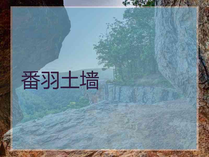 番羽土墙