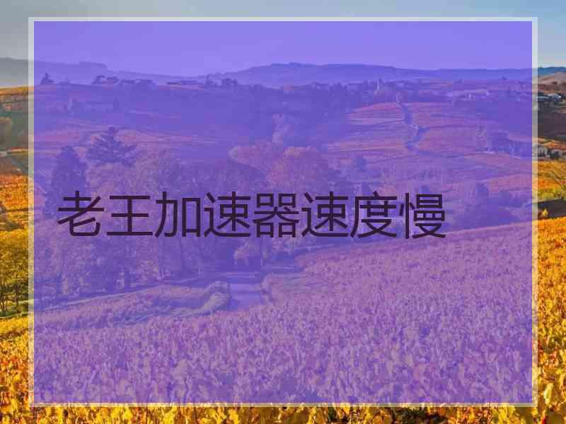 老王加速器速度慢