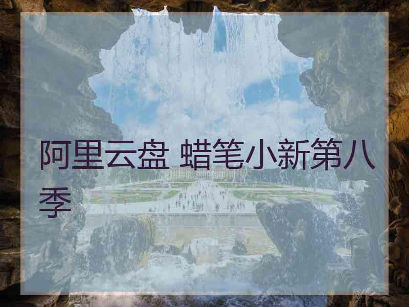 阿里云盘 蜡笔小新第八季