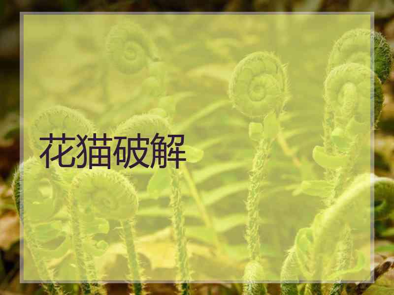 花猫破解