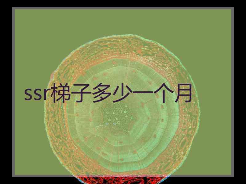 ssr梯子多少一个月