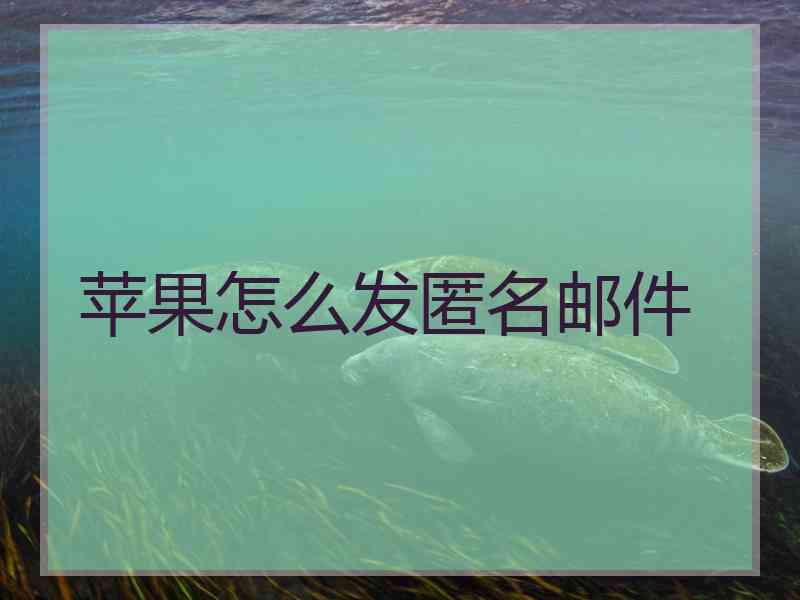 苹果怎么发匿名邮件
