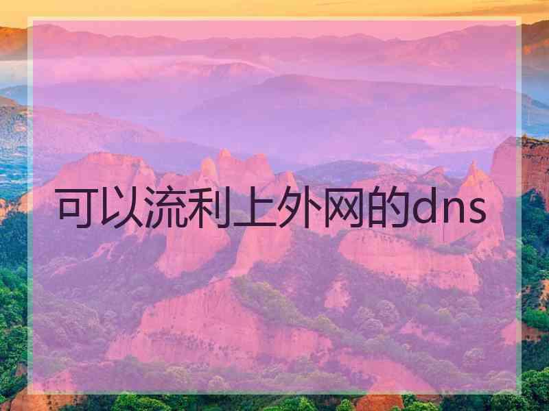 可以流利上外网的dns
