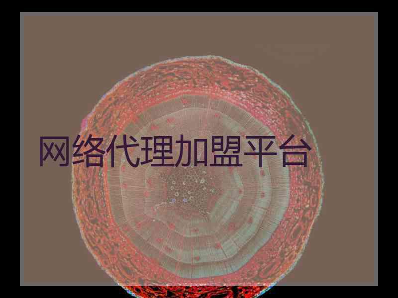 网络代理加盟平台
