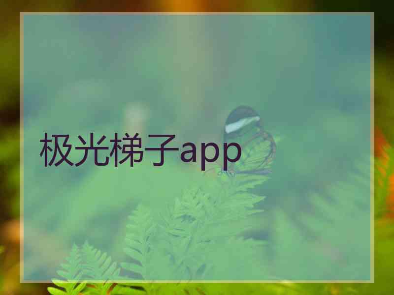 极光梯子app