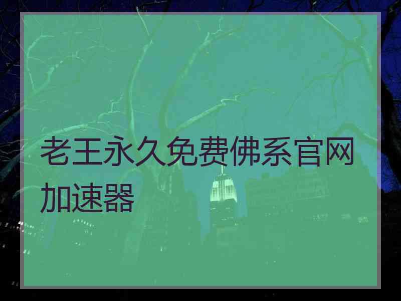 老王永久免费佛系官网加速器