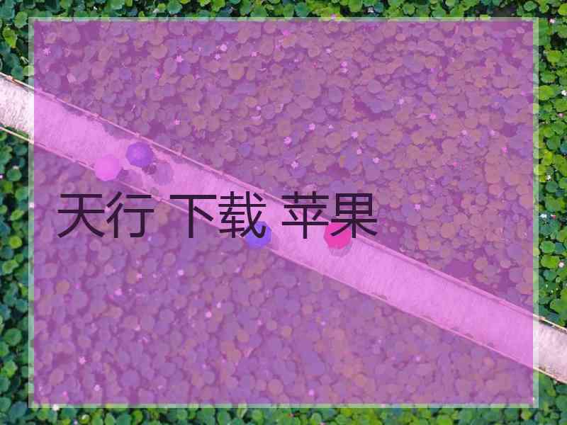 天行 下载 苹果