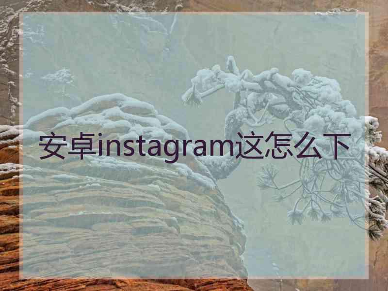 安卓instagram这怎么下