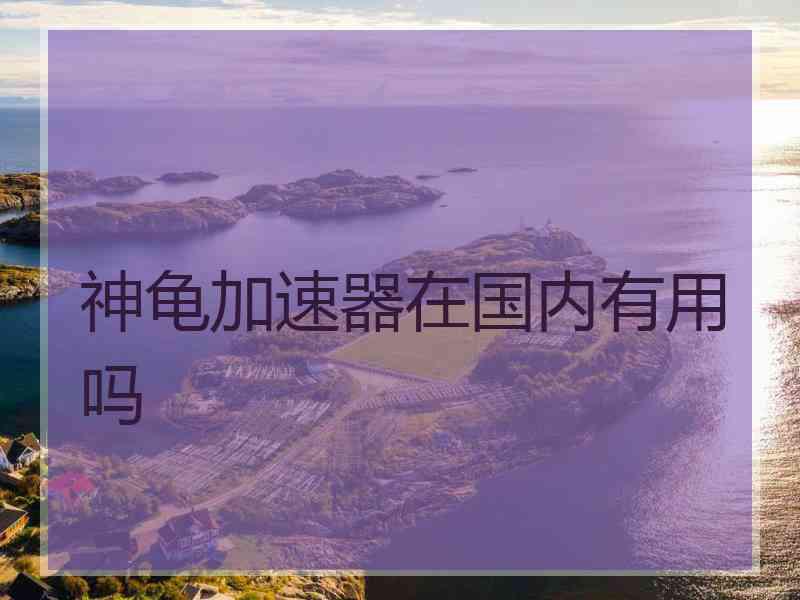 神龟加速器在国内有用吗