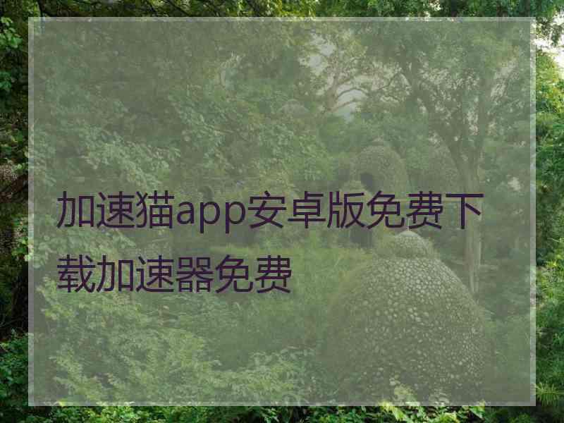 加速猫app安卓版免费下载加速器免费
